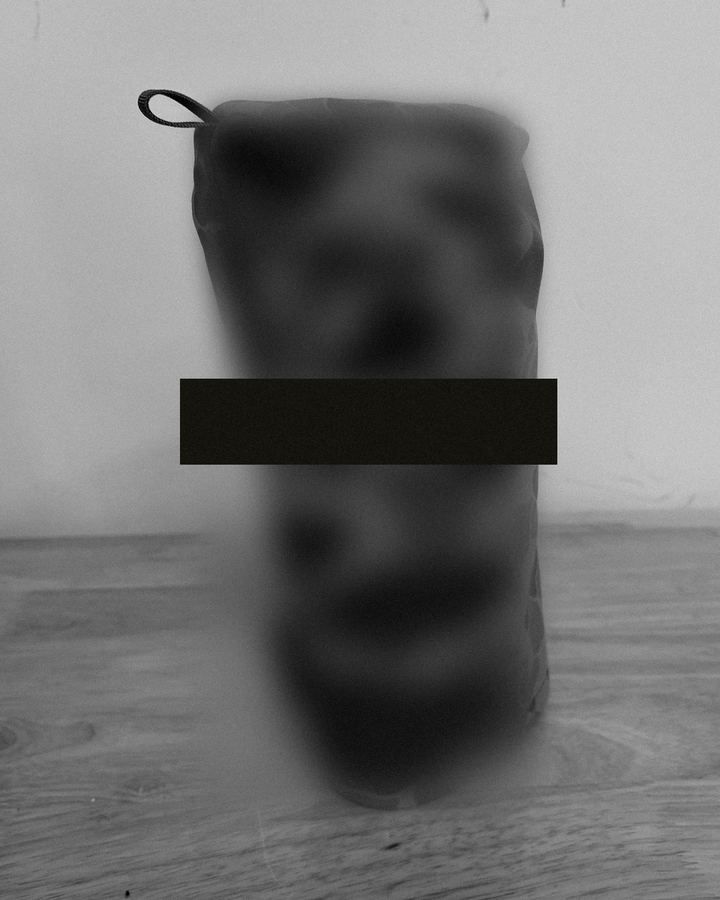 Exhibit 02-E headcover on a driver, redacted